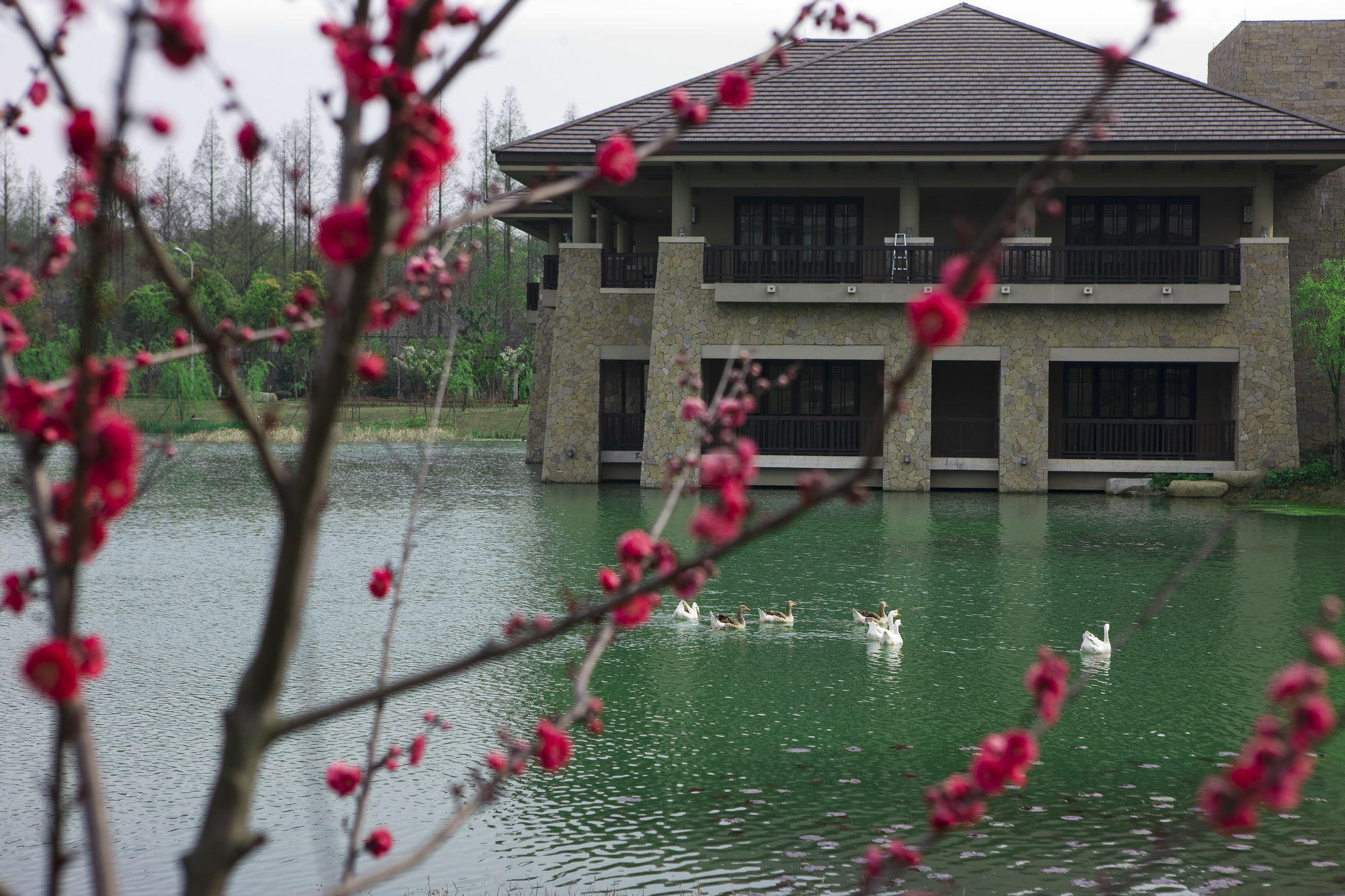 Narada Resort & Spa Liangzhu Hangzhou Exteriör bild
